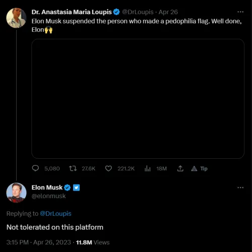 O Twitter removeu um usuário que promovia uma bandeira celebrando “Youth Attracted Person[s]”