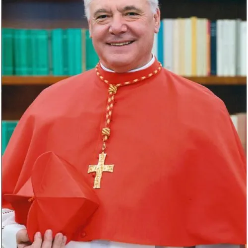 Cardeal Muller, quando prefeito do Dicastério para a Doutrina da Fé. Créditos: Santa Sé.