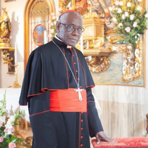 Sarah diz que há lobos ao redor do Papa Francisco impedindo que tradicionalistas sejam bem tratados